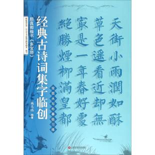 颜真卿楷书 编著 施志伟 多宝塔 上海科学技术文献出版 字帖书籍艺术 新华书店正版 书法 图书籍 篆刻 社