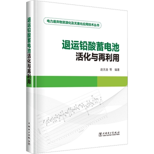 退运铅酸蓄电池活化与再利用 赵光金 等 编 建筑/水利（新）专业科技 新华书店正版图书籍 中国电力出版社