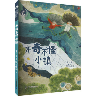 不奇不怪小镇 黄文军 著 风也琥珀 绘 儿童文学少儿 新华书店正版图书籍 二十一世纪出版社集团