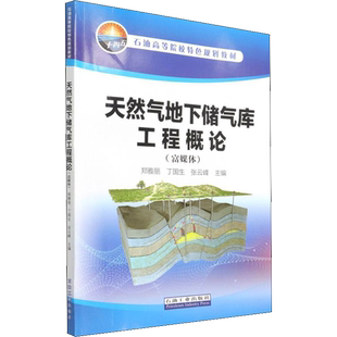 天然气地下储气库工程概论(富媒体) 郑雅丽,丁国生,张云峰 编 交通/运输专业科技 新华书店正版图书籍 石油工业出版社