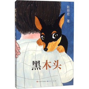黑木头 赵丽宏 著 儿童文学 一次探望外婆的途中 男孩童童和流浪小狗黑木头相遇了 天天出版社