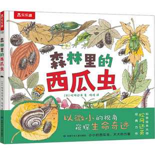 森林里的西瓜虫 (日)松冈达英 著 晓晗 译 绘本/图画书/少儿动漫书少儿 新华书店正版图书籍 甘肃少年儿童出版社