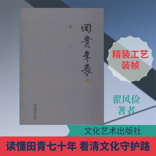 田青年表 翟风俭 著 艺术家/建筑设计文学 新华书店正版图书籍 文化艺术出版社