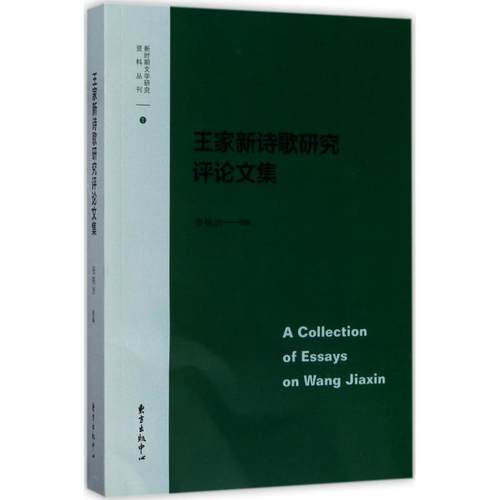 新华书店正版 中国现当代文学理论