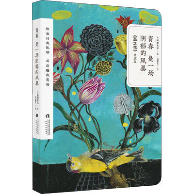 青春是一场阴郁的风暴 (法)波德莱尔(Charles Baudelaire) 著；文爱艺 译 外国诗歌文学 新华书店正版图书籍 天津人民出版社