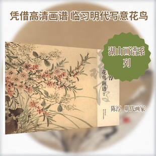 陈淳花鸟画谱2 湖山书画 编 编 绘画（新）艺术 新华书店正版图书籍 浙江人民美术出版社