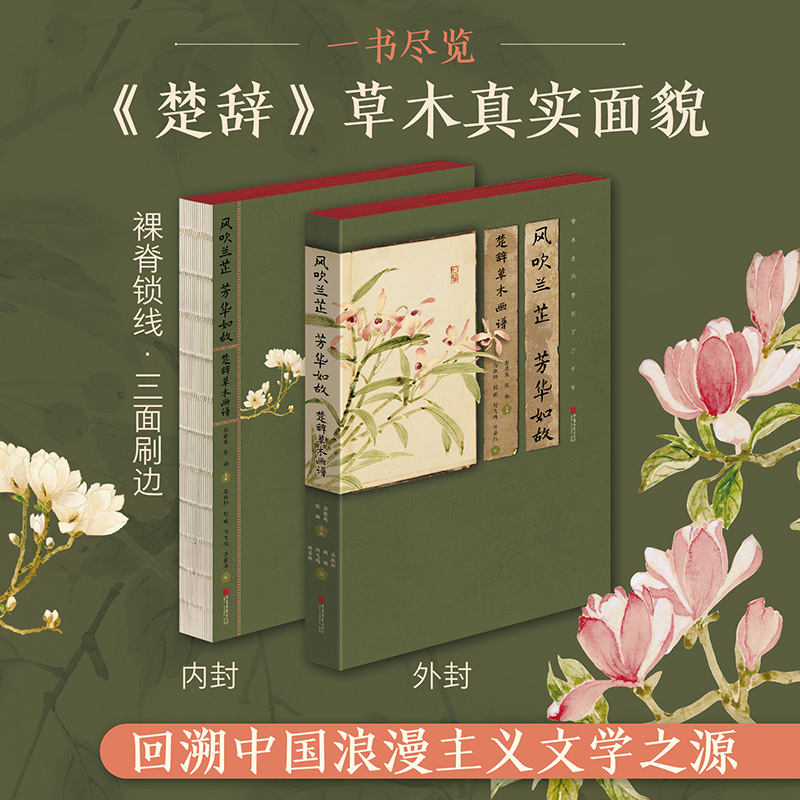 新华书店正版 美术作品