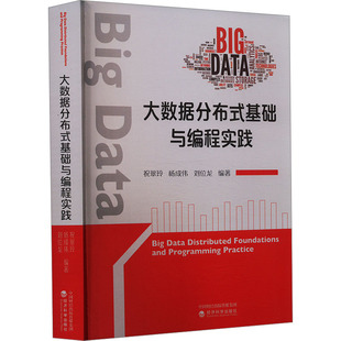 大数据分布式基础与编程实践 祝翠玲,杨成伟,刘位龙 编 自动化技术专业科技 新华书店正版图书籍 经济科学出版社