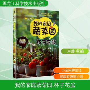 社会学生活 社 杯子花盆 黑龙江科学技术出版 图书籍 新华书店正版 编 主编 卢璇 家庭蔬菜园 我