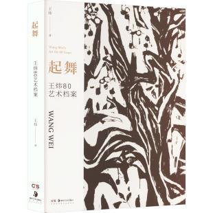 起舞 王炜 王炜80艺术档案 新 著 艺术 绘画 图书籍 社 湖南美术出版 新华书店正版