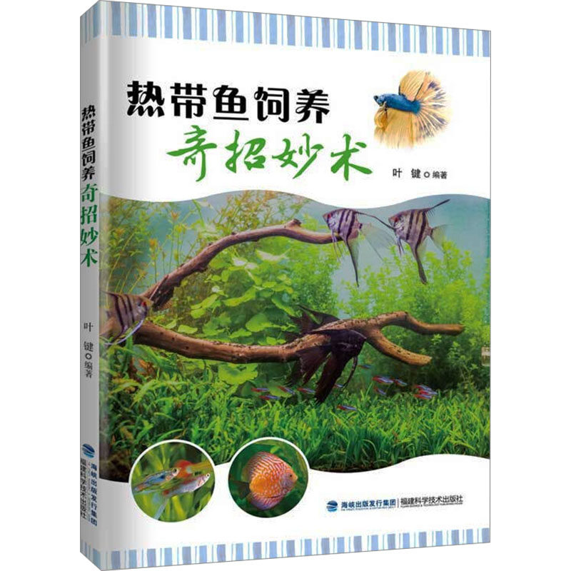 热带鱼饲养奇招妙术 叶键 编 都市手工艺书籍生活 新华书店正版图书籍 福建科学技术出版社