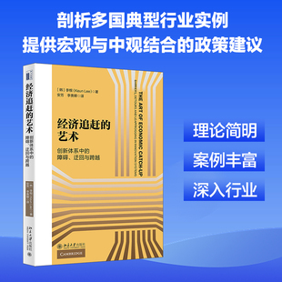 经济追赶的艺术 创新体系中的障碍、迂回与跨越 (韩)李根 著 著 安芳,李贵卿 译 译 经济理论经管、励志 新华书店正版图书籍