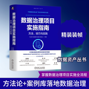 数据治理项目实施指南：方法、技巧与实践 毛大群 等 著 著 其它计算机/网络书籍专业科技 新华书店正版图书籍 机械工业出版社