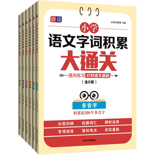 小学语文字词积累大通关 全6册 全国通用六年级小升初总复习语文阅读数学计算题英语语法词汇专项强化训练每日一练 同济大学出版社