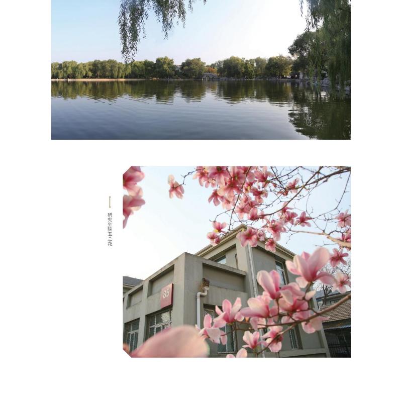 新华书店正版 散文