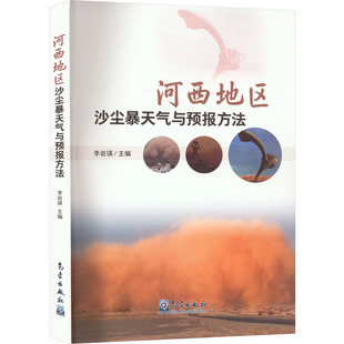 河西地区沙尘暴天气与预报方法 李岩瑛 编 自然科学总论专业科技 新华书店正版图书籍 气象出版社