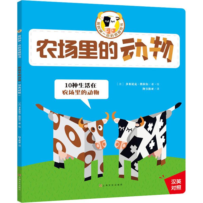 新华书店正版 手工制作