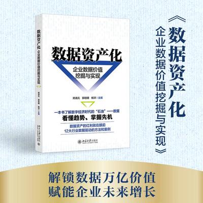 数据资产化 企业数据价值挖掘与实现 深入探讨数据如何作为企业关键资产发挥作用的实用指南 数据资产增值路径 北京大学出版社