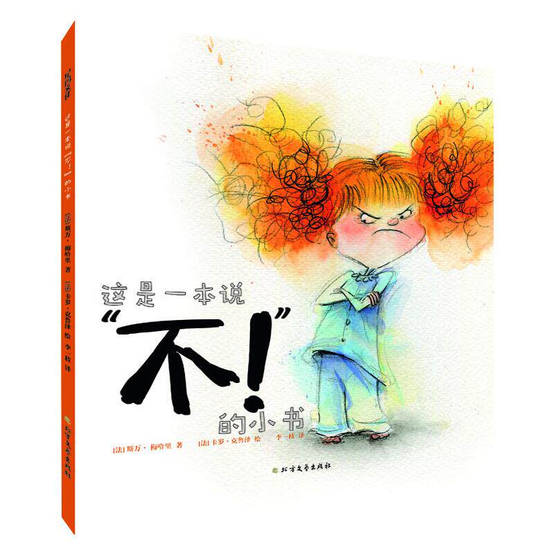 "的小书 (法)斯万·梅哈里 著 李一枝 译 (法