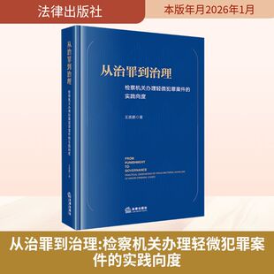 从治罪到治理 检察机关办理轻微犯罪案件的实践向度 王美鹏 三十余年检察工作经验积累的第一手研究素材 法律出版社