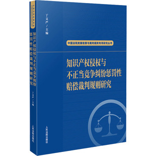 知识产权侵权与不正当竞争纠纷惩罚性赔偿裁判规则研究 丁文严 编 司法案例/实务解析社科 新华书店正版图书籍 人民法院出版社