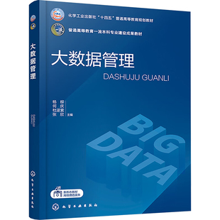 大数据管理 杨柳 高等学校本科生研究生教材 大数据相关企业的管理者与实践者的培训用书和参考读物 化学工业出版社