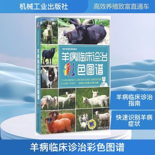 羊病临床诊治彩色图谱 谷风柱,沈志强,王玉茂 主编 著 畜牧/养殖专业科技 新华书店正版图书籍 机械工业出版社