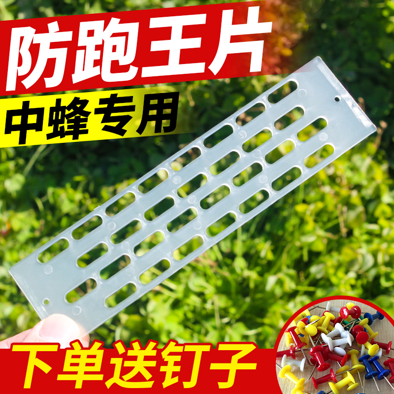 蜂王防逃片中蜂防跑片隔王片多功能蜂箱巢门专用养蜜蜂工具防盗蜂