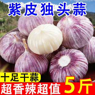【批发5斤】紫皮独头蒜2025新蒜大蒜头新鲜农家蒜头干蒜当季蔬菜