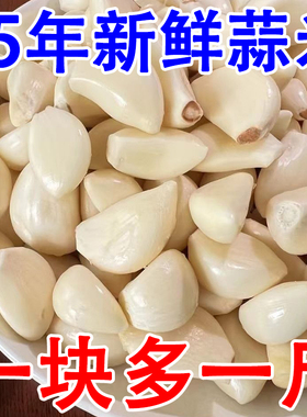 金乡大蒜去皮蒜米手工剥皮蒜粒山东蒜瓣新鲜净大蒜头批发餐饮商用