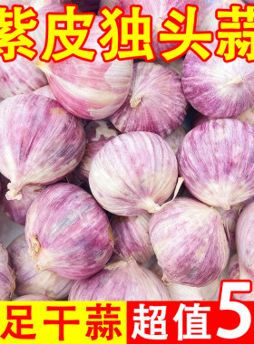 2025年农家紫皮独头蒜红皮干蒜农家干独蒜全干新大蒜蔬菜非新蒜