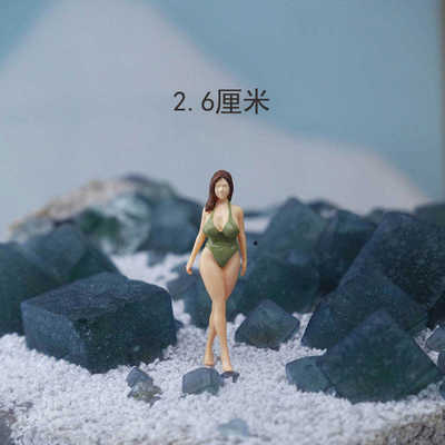 1/64比例模特小人物多肉花卉盆景假山微缩造景观模型摆件凤哥自制