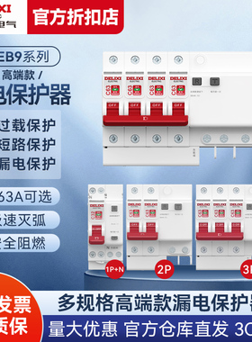 德力西漏电保护器DEB9 空气开关断路器2P63A32a空开漏保电闸家用