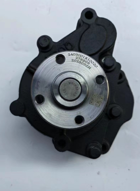 叉车水泵适用全柴4C2-50V31/V33发动机叉车水泵图号2409001810020