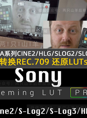 预设索尼A系列CINE2/HLG/SLOG2/SLOG3 转换REC.709 还原LUTs 预设