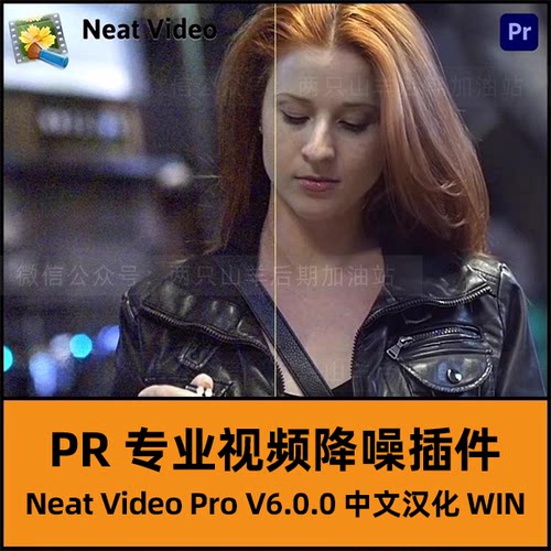 Win中文汉化PR插件-专业视频降噪插件 Neat Video Pro V6.0.0