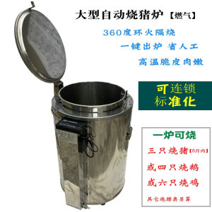 全自动烧猪炉燃气商用大型烧腊炉