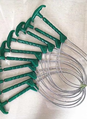 兽用套猪器小猪保定器母猪套子宠物绿色栓猪绳套猪钢丝绳