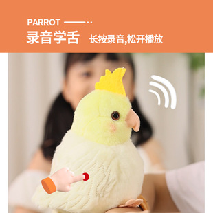 学舌鹦鹉会学说话的鸟仿真叫声录音男女孩儿童毛绒玩具节日礼物