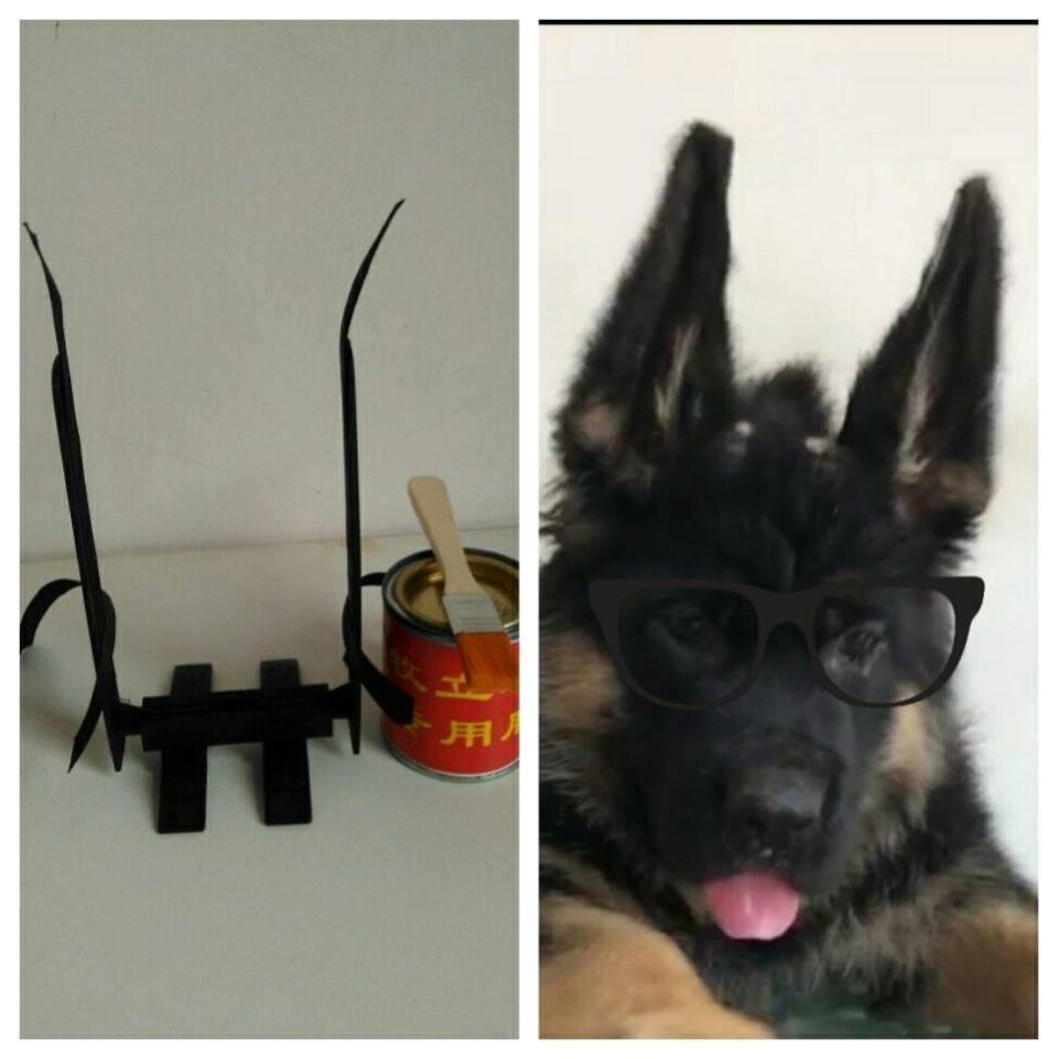 立耳朵神器狗狗贴锤系德牧黑狼