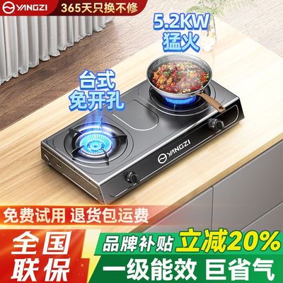 扬子燃气灶双灶家用罐装