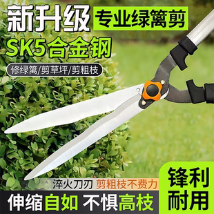 园艺大剪刀家用花草坪绿篱树枝花艺园林剪修枝剪子绿化专用绿篱剪
