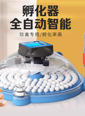 小鸡鸭鹅孵化器小型家用迷你孵化机全自动智能鸟蛋芦丁鸡孵蛋箱