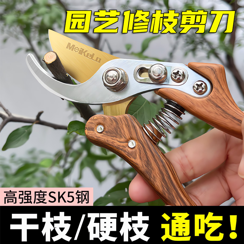 修枝剪园艺剪刀剪树枝专用园林修剪果树修枝花艺修花剪剪枝剪粗枝