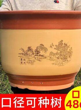紫砂盆红陶特大花盆送托盘落地陶瓷特价陶土盆景专用