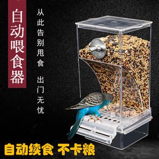 虎皮玄凤鹦鹉自动喂食器鸟食盒防溅鹦鹉食罐大型防撒喂鸟器下料器