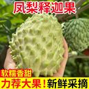 广西释迦果孕妇水果新鲜水果凤梨大目释迦番荔枝佛头果产地直发