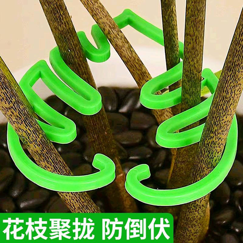 植物防倒伏支架龟背竹支撑
