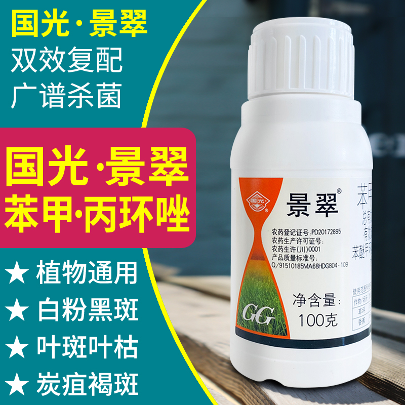国光景翠多肉兰花月季黑斑病