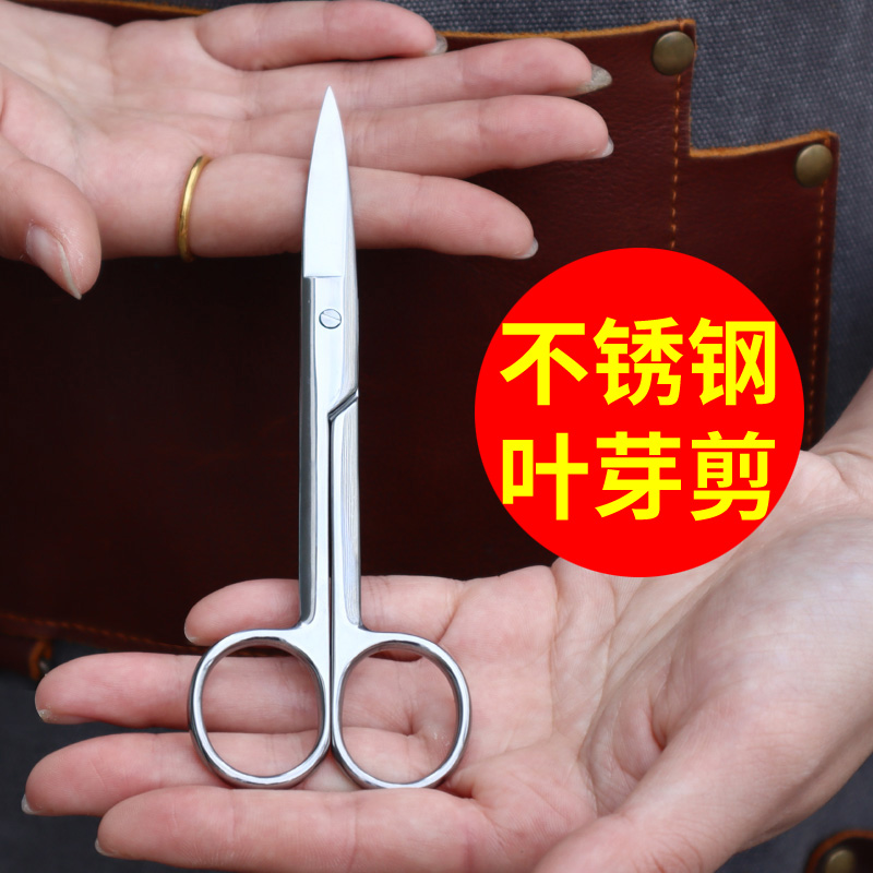 兰花分苗造型专用工具套装剪刀